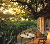 Tree Lodge Patio Tree Lodge Patio
